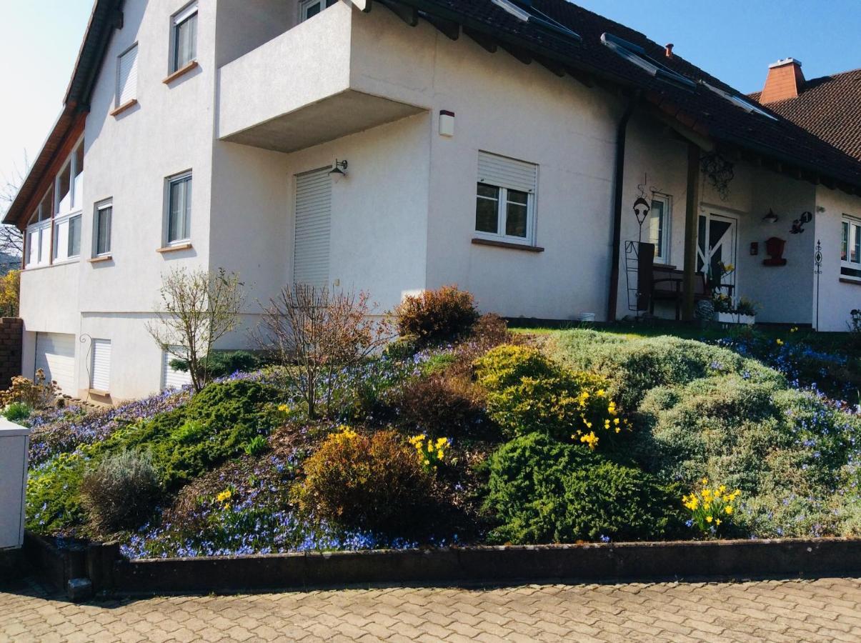 Apartament Fernblick Zweibrücken Zewnętrze zdjęcie